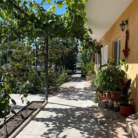 Pensiune Casa Amalia *