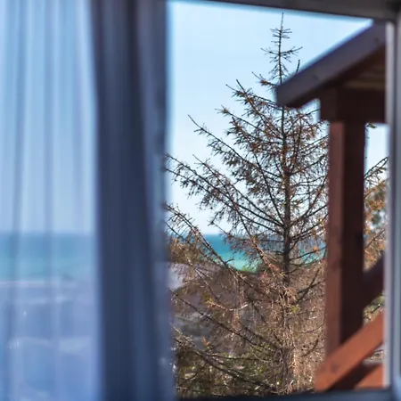 Casa Amalia Pensiune Costineşti