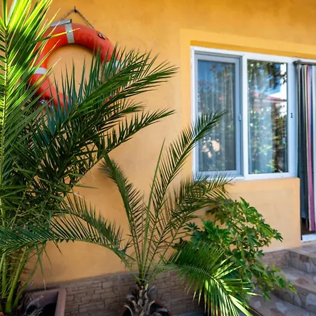 Casa Amalia Pensiune